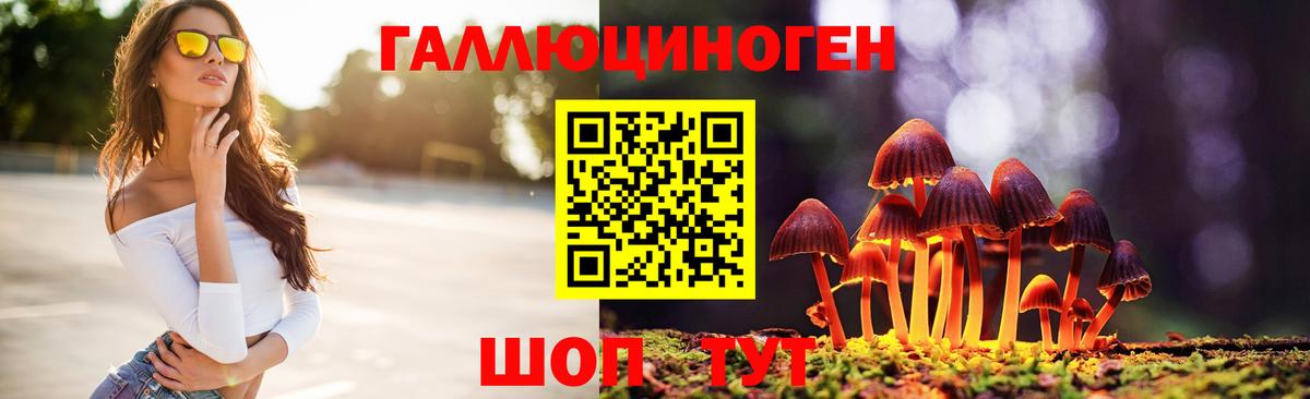 Псилоцибиновые грибы прущие грибы  Вход с VPN  Псилоцибиновые грибы Psilocybe  Избербаш 