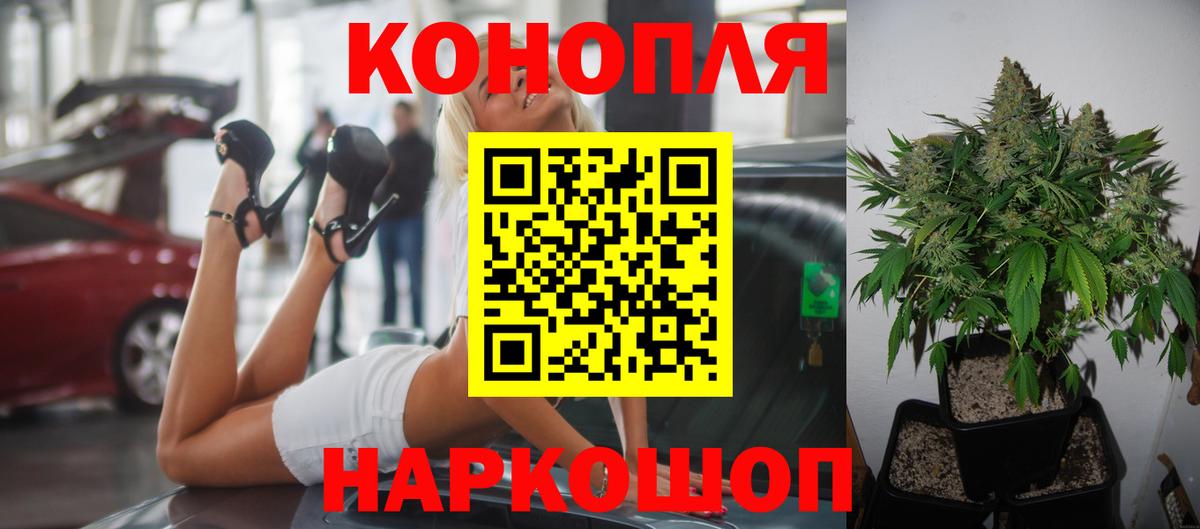 Бошки марихуана план Избербаш